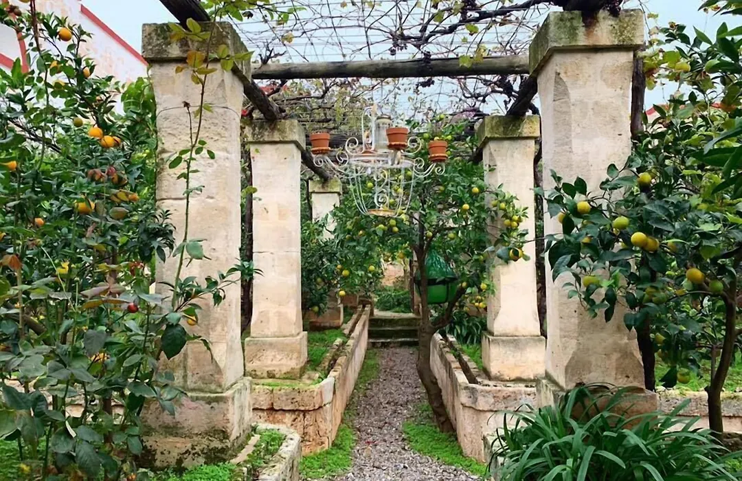 Masseria Montenapoleone-1